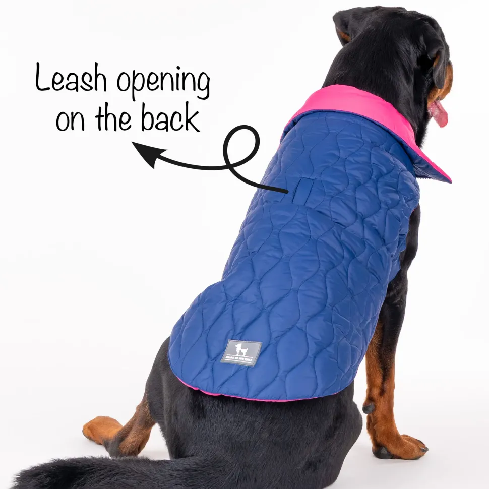 HUFT Cosy Pupper Reversible Dog Jacket - Denim Blue