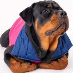HUFT Cosy Pupper Reversible Dog Jacket - Denim Blue