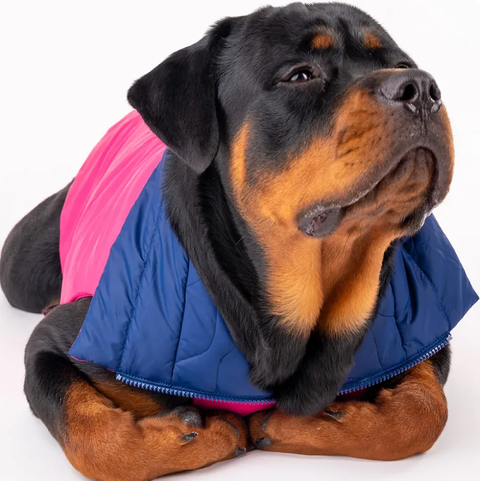 HUFT Cosy Pupper Reversible Dog Jacket - Denim Blue