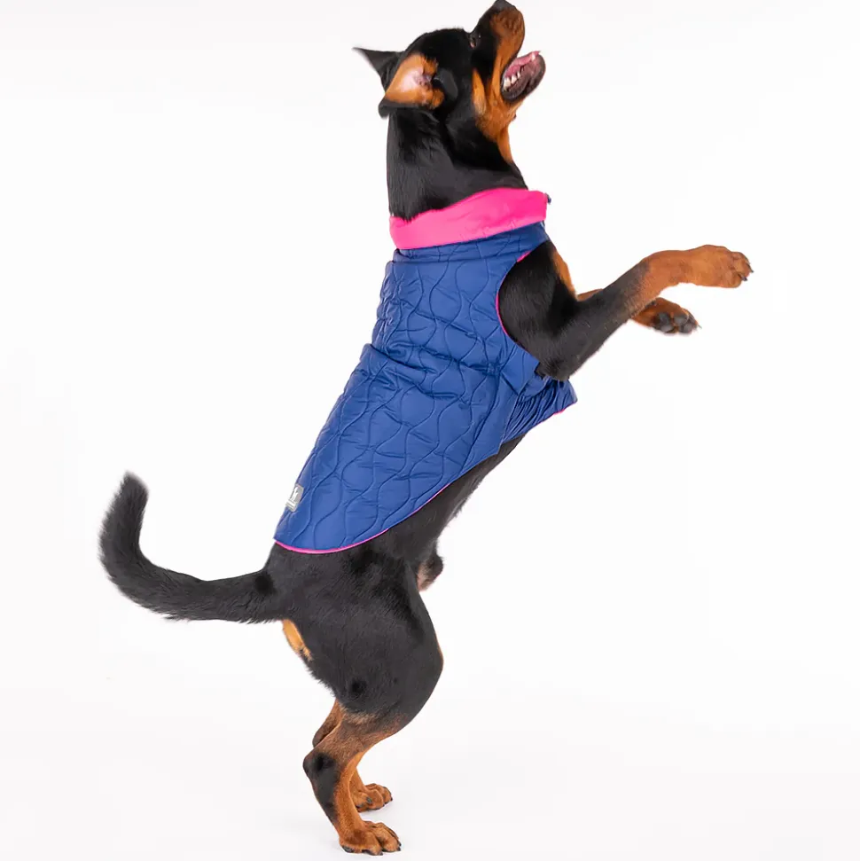 HUFT Cosy Pupper Reversible Dog Jacket - Denim Blue