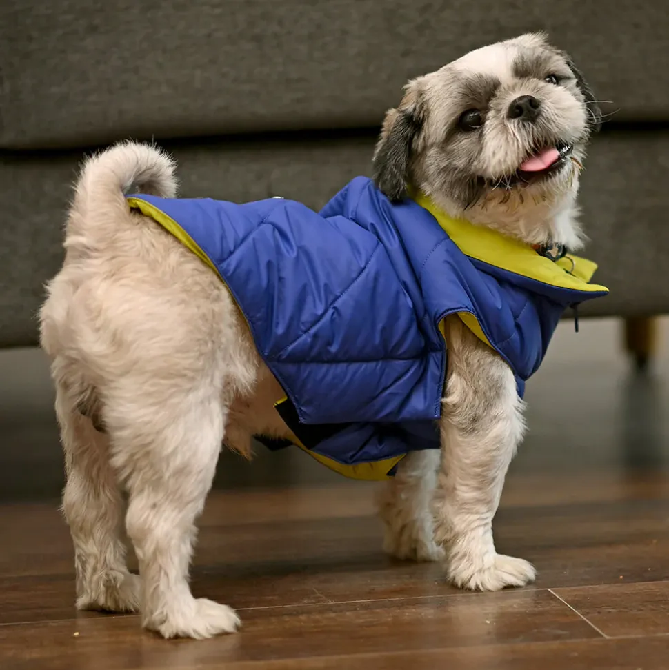 HUFT Cozy Pupper Reversible Dog Jacket - Dark Blue/Green