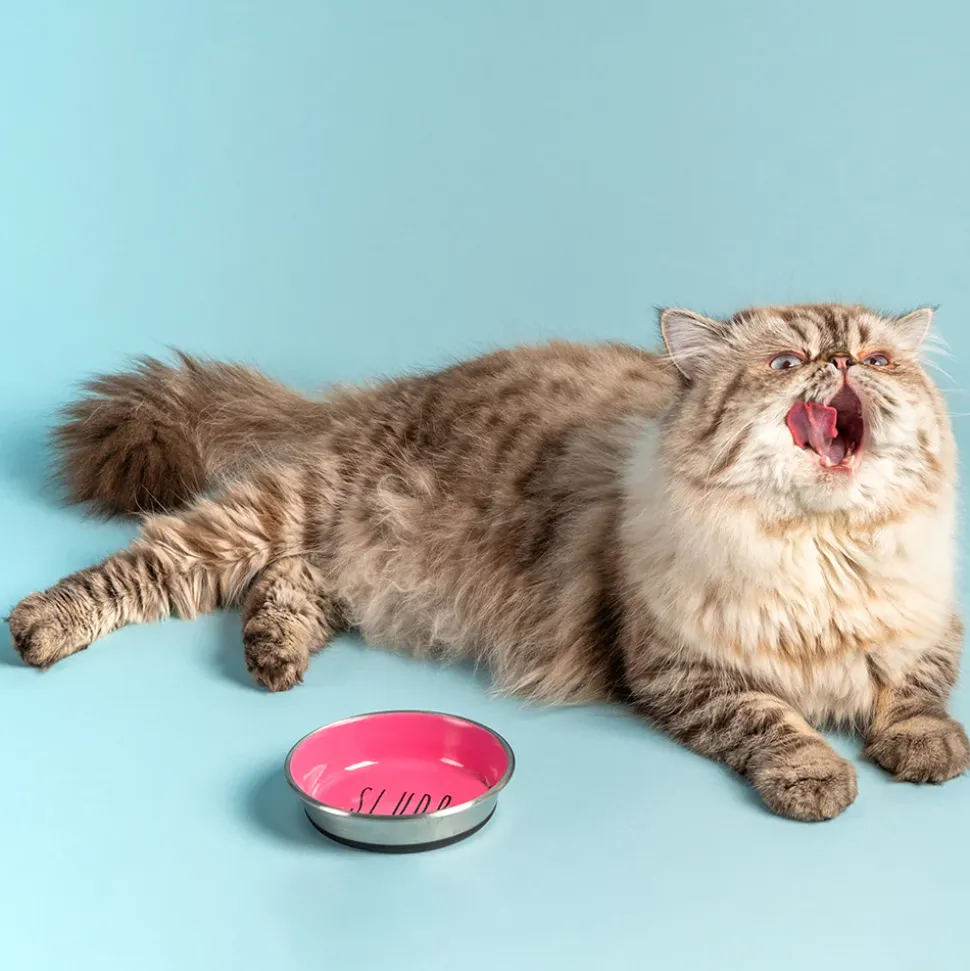 HUFT Cutest Collection Slurp Kitten Bowl - Pink