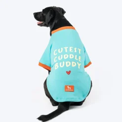 HUFT Cutest Cuddle Buddy Sweatshirt For Big Dog - Teal