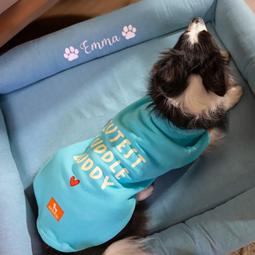 HUFT Cutest Cuddle Buddy Sweatshirt For Big Dog - Teal