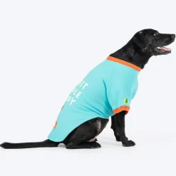 HUFT Cutest Cuddle Buddy Sweatshirt For Big Dog - Teal