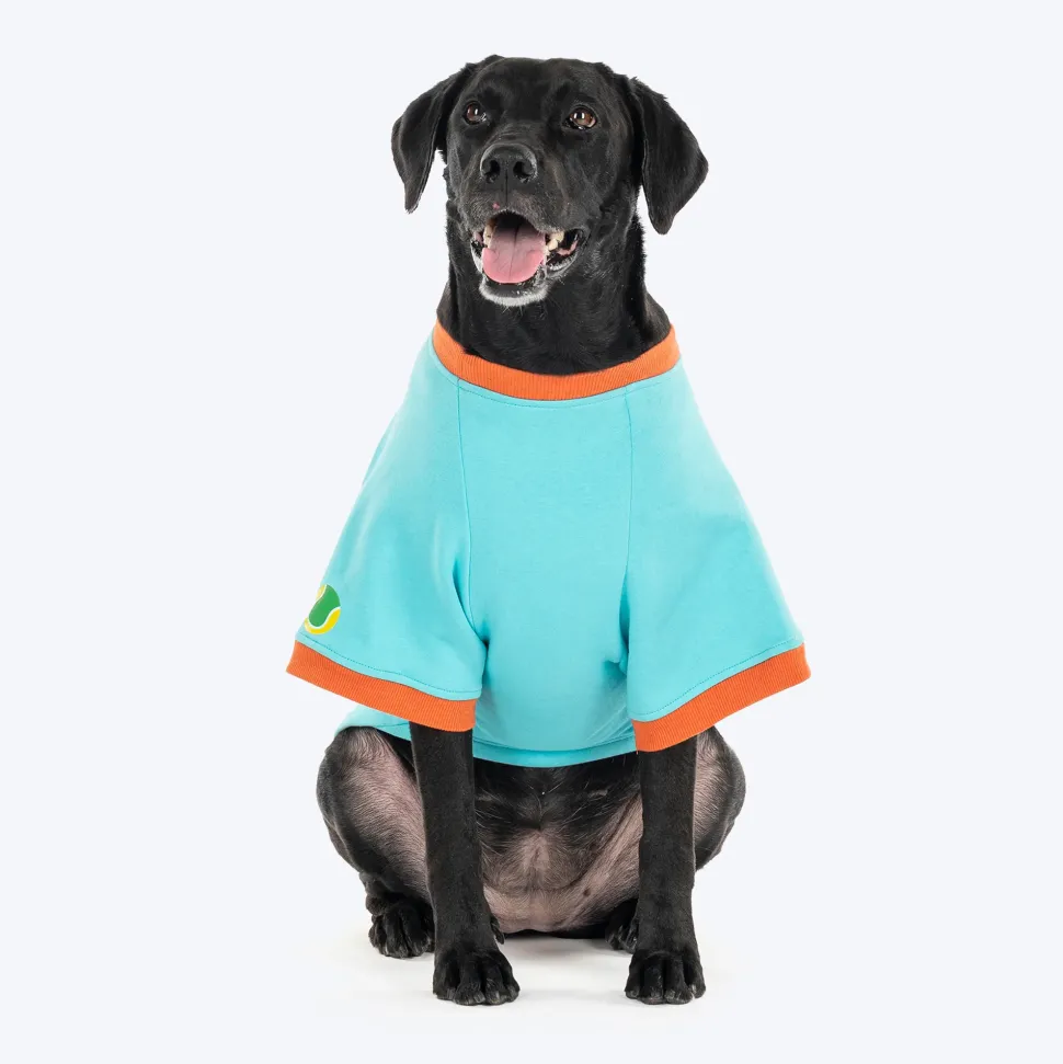 HUFT Cutest Cuddle Buddy Sweatshirt For Big Dog - Teal