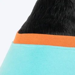 HUFT Cutest Cuddle Buddy Sweatshirt For Big Dog - Teal
