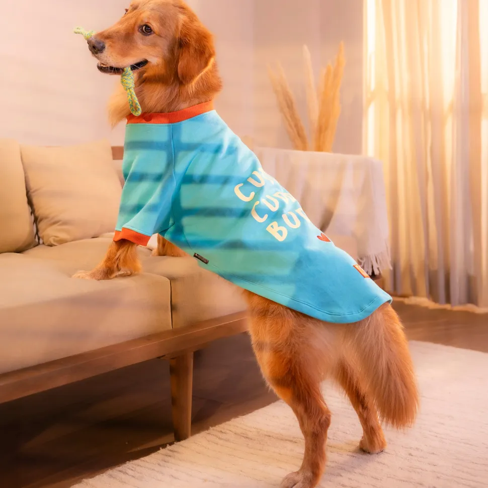 HUFT Cutest Cuddle Buddy Sweatshirt For Big Dog - Teal