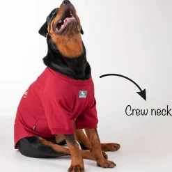 HUFT Cutie on Duty Pet Sweatshirt - Maroon