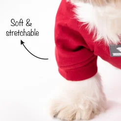 HUFT Cutie on Duty Pet Sweatshirt - Maroon