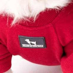 HUFT Cutie on Duty Pet Sweatshirt - Maroon