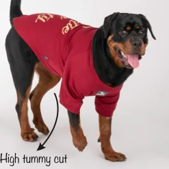HUFT Cutie on Duty Pet Sweatshirt - Maroon