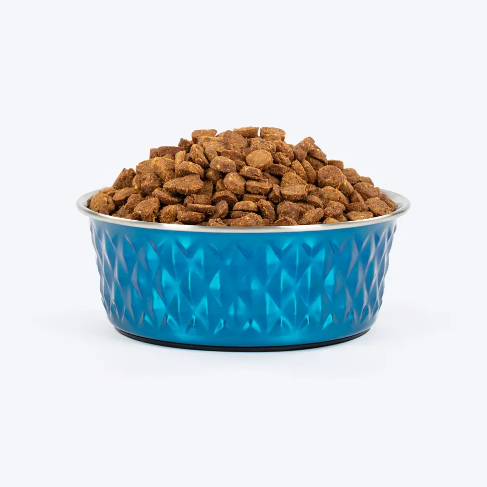 HUFT Dine N' Dazzle Embossed Steel Bowl For Dog - Blue