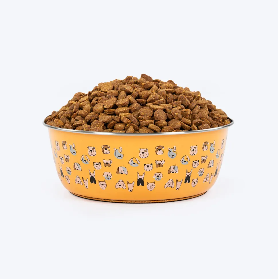 HUFT Doodle Tails Printed Steel Bowl For Dog - Yellow