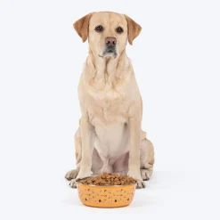 HUFT Doodle Tails Printed Steel Bowl For Dog - Yellow