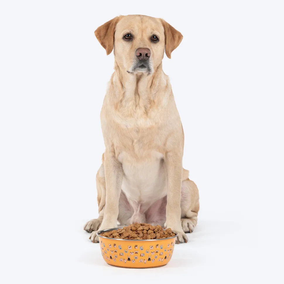 HUFT Doodle Tails Printed Steel Bowl For Dog - Yellow