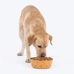 HUFT Doodle Tails Printed Steel Bowl For Dog - Yellow