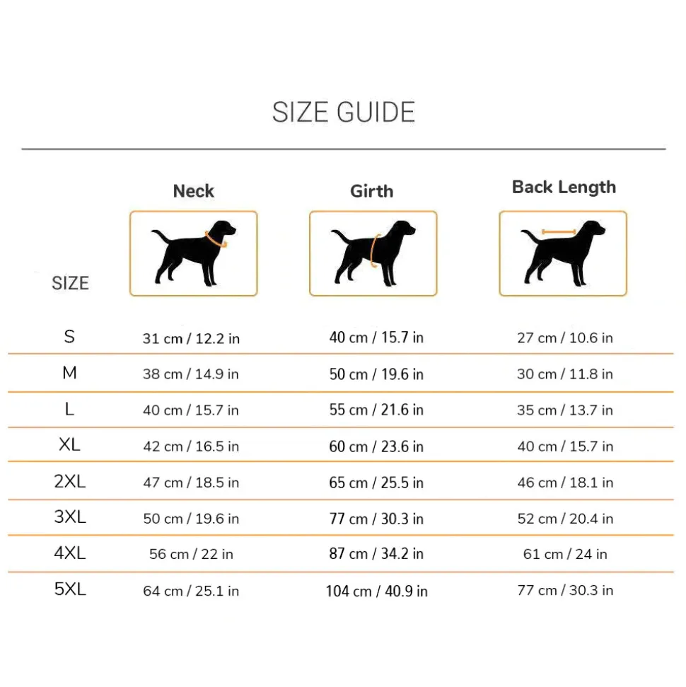 HUFT Drizzle Buddy Dog Raincoat - Sky Blue