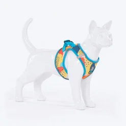 HUFT Easy Breezy Step-In Harness Set For Cats - Abstract
