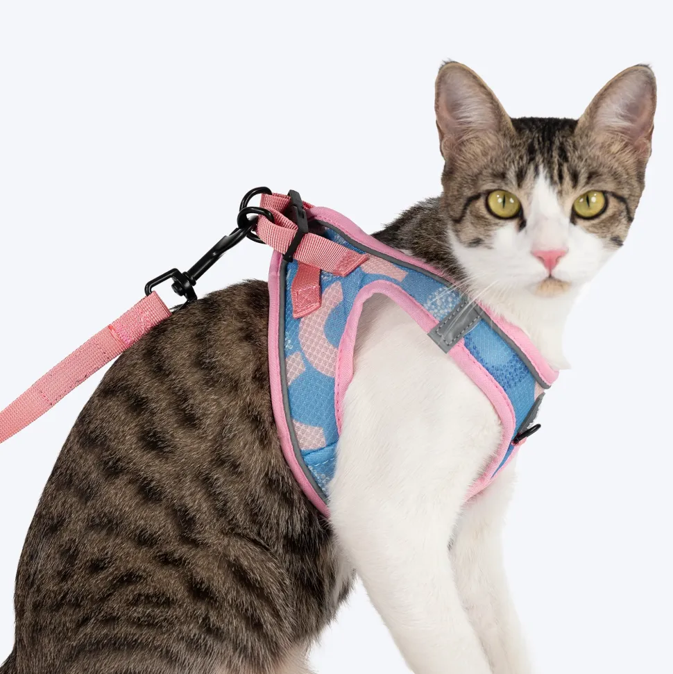 HUFT Easy Breezy Step-In Harness & Leash Set For Cat - Crescent Blue