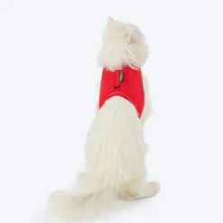 HUFT Essential Harness & Leash Set For Cat - Red