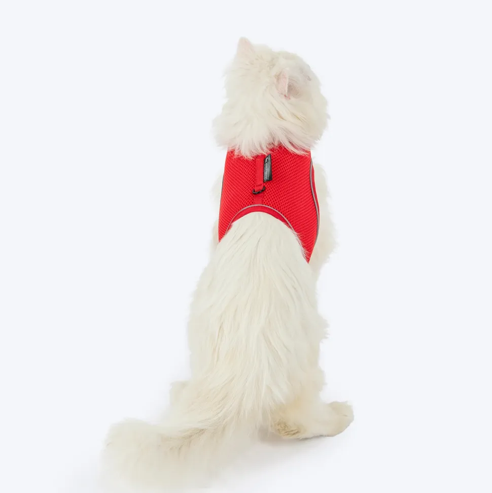 HUFT Essential Harness & Leash Set For Cat - Red