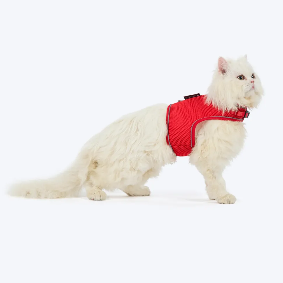 HUFT Essential Harness & Leash Set For Cat - Red