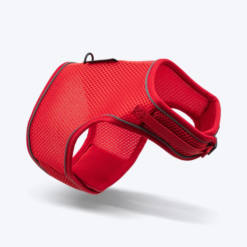 HUFT Essential Harness & Leash Set For Cat - Red