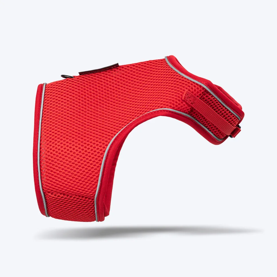 HUFT Essential Harness & Leash Set For Cat - Red