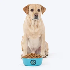 HUFT Evil Eye Printed Steel Bowl For Dog - Blue