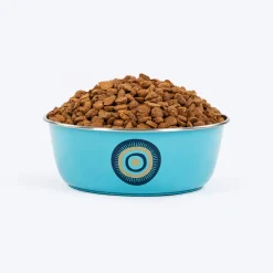 HUFT Evil Eye Printed Steel Bowl For Dog - Blue