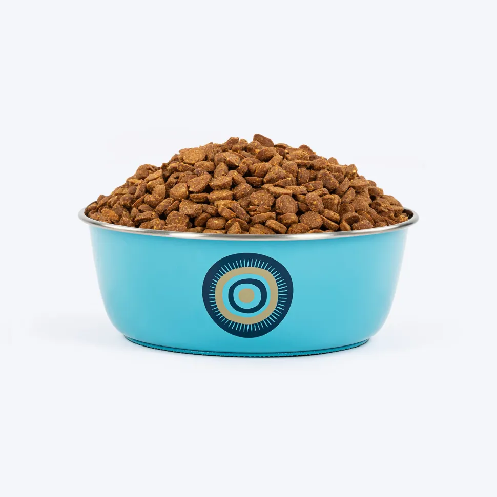 HUFT Evil Eye Printed Steel Bowl For Dog - Blue