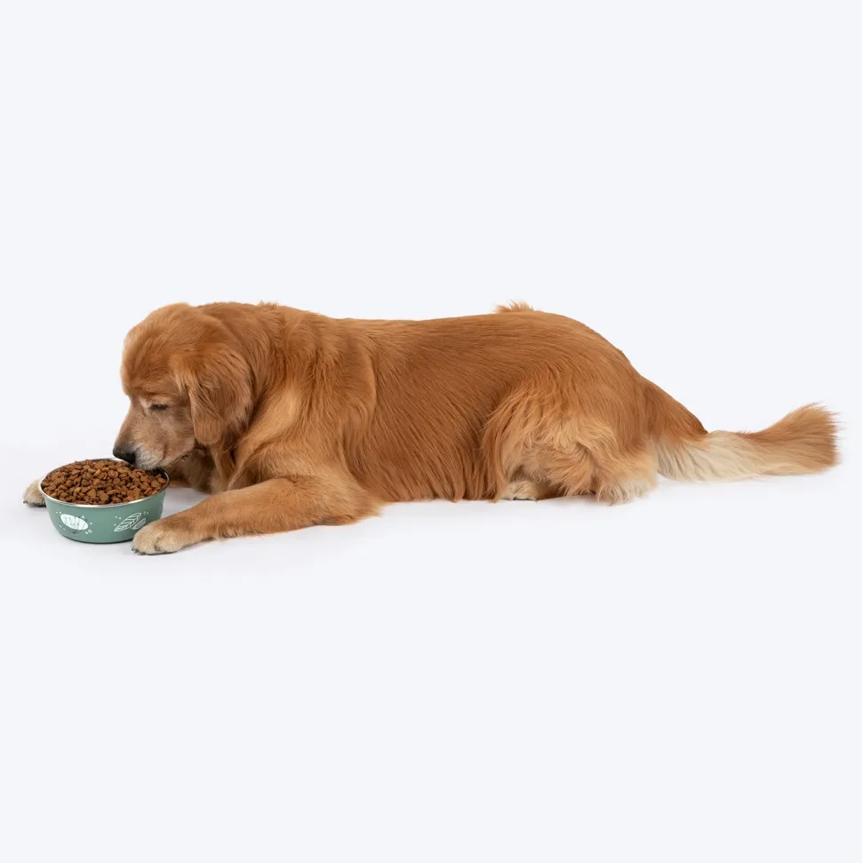 HUFT Ferns & Fur Printed Steel Bowl For Dog - Sage Green