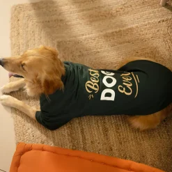 HUFT Fleece Dog Sweatshirt - Dark Green