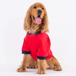 HUFT Fleece Dog Sweatshirt - Red