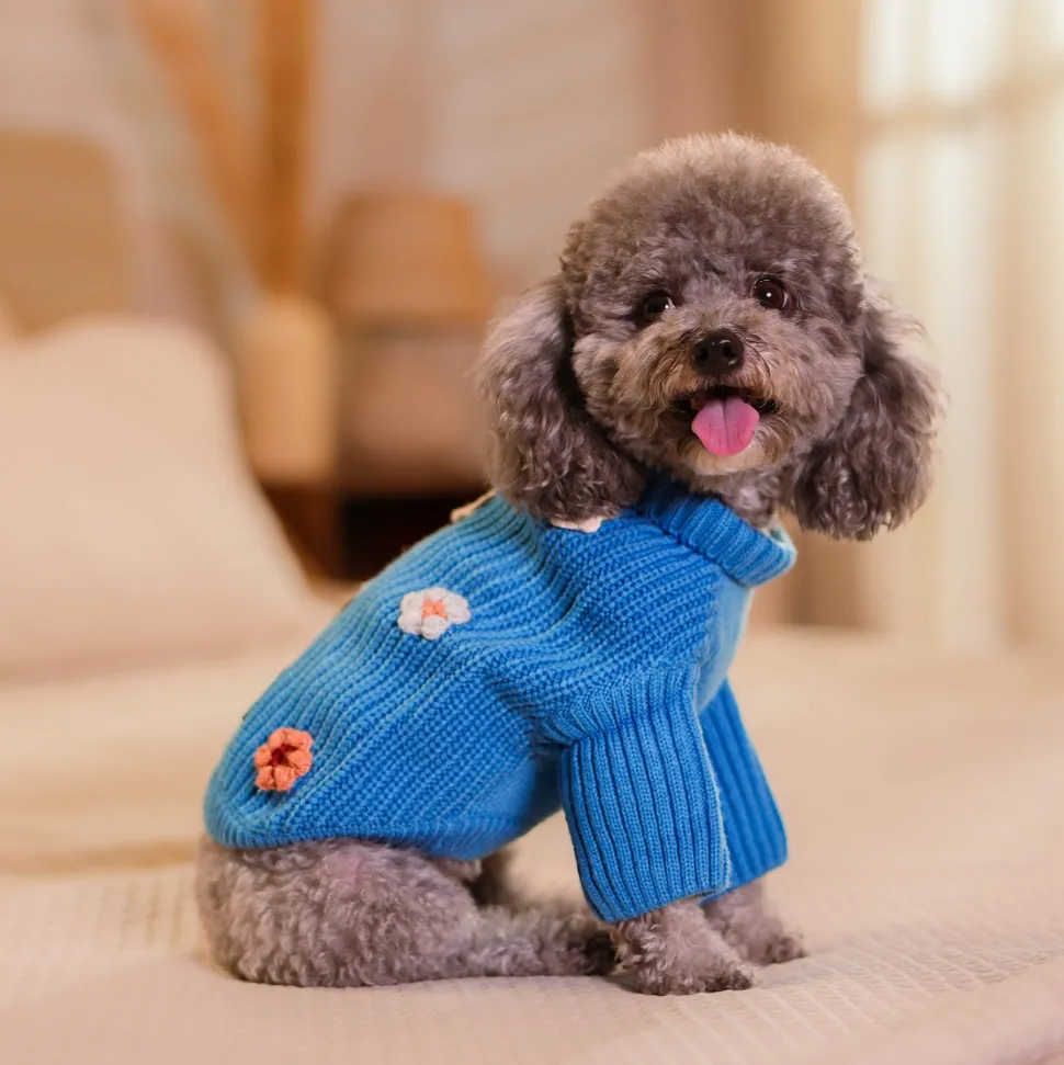 HUFT Frosty Flowers Sweater For Small Dog - Blue