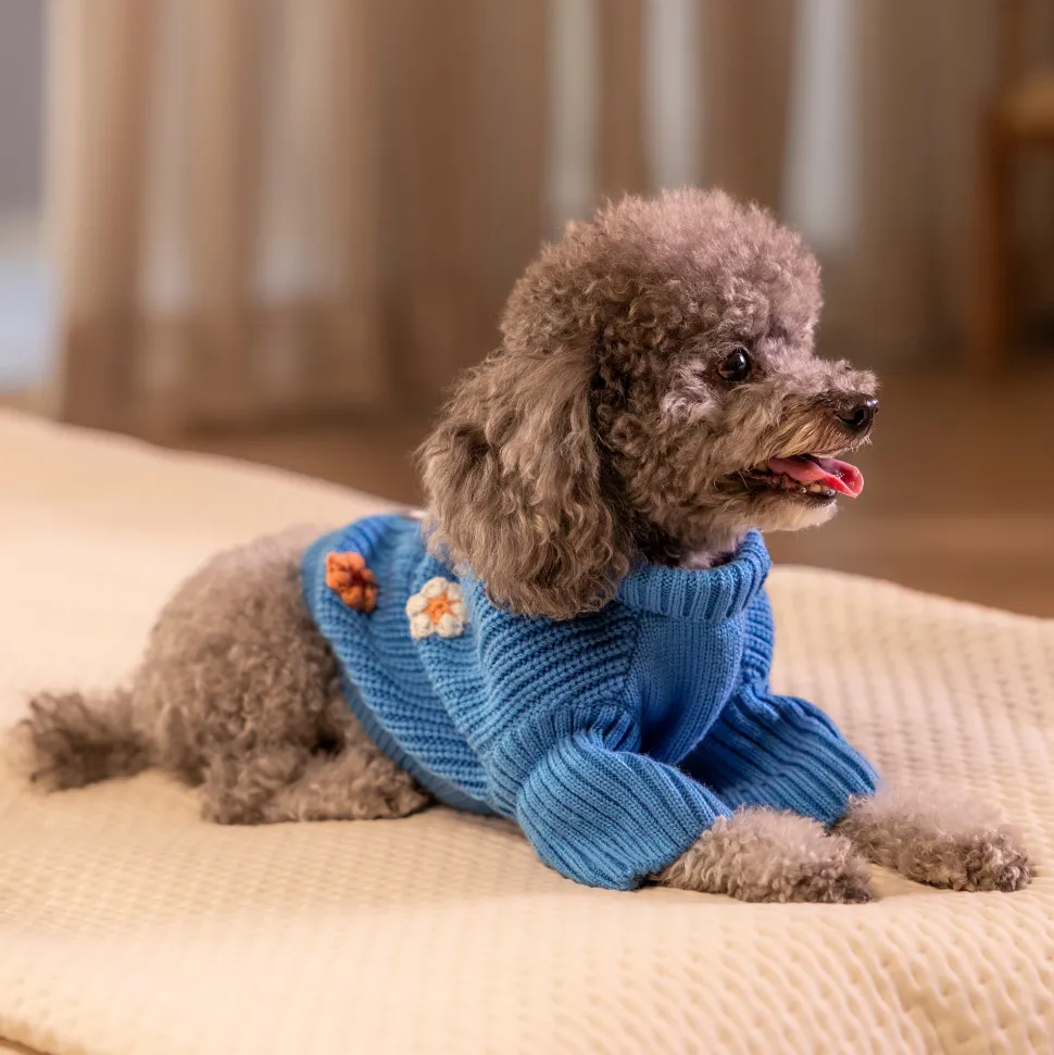 HUFT Frosty Flowers Sweater For Small Dog - Blue