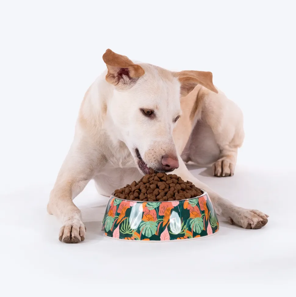 HUFT Garden of Love Printed Melamine Bowl for Dogs - Green