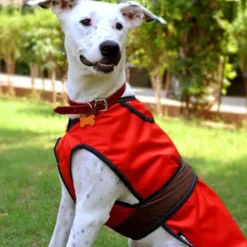 HUFT Gladiator 2-in-1 Dog Jacket