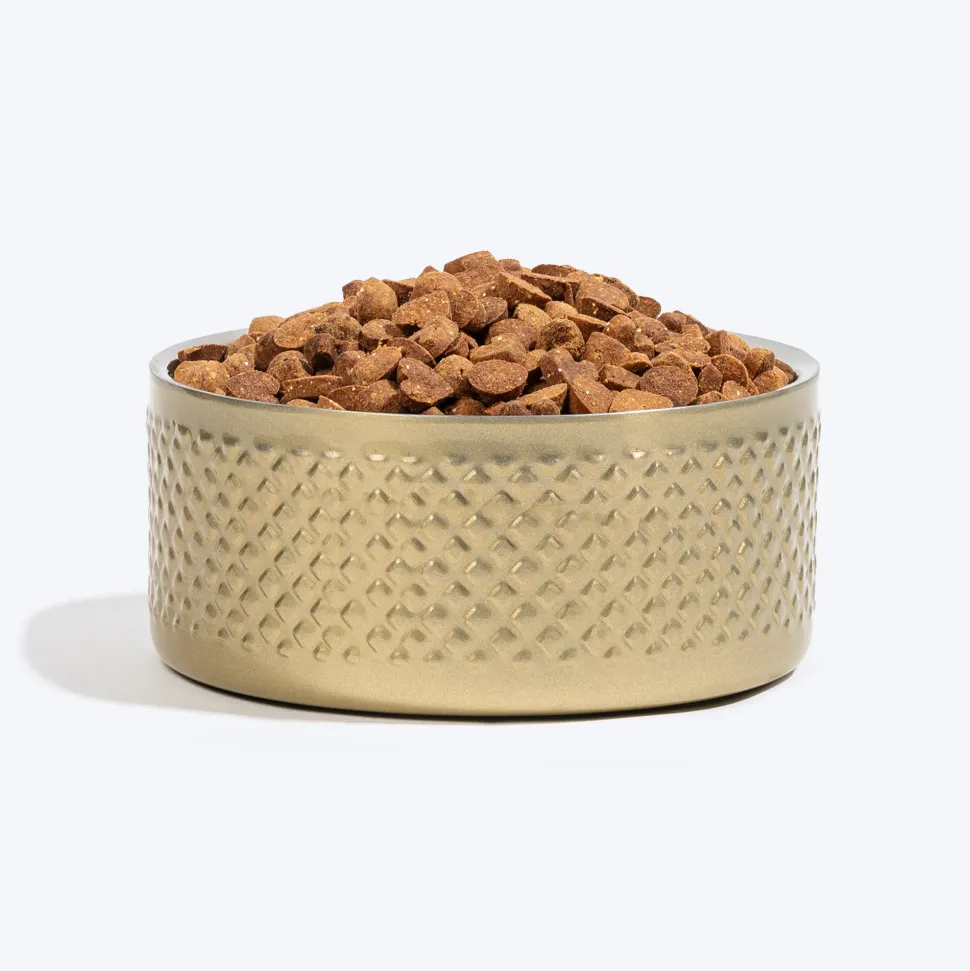 HUFT Golden Dazzle Embossed Steel Bowl For Dog - Gold