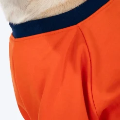 HUFT Good Doggo Pet Sweatshirt - Orange