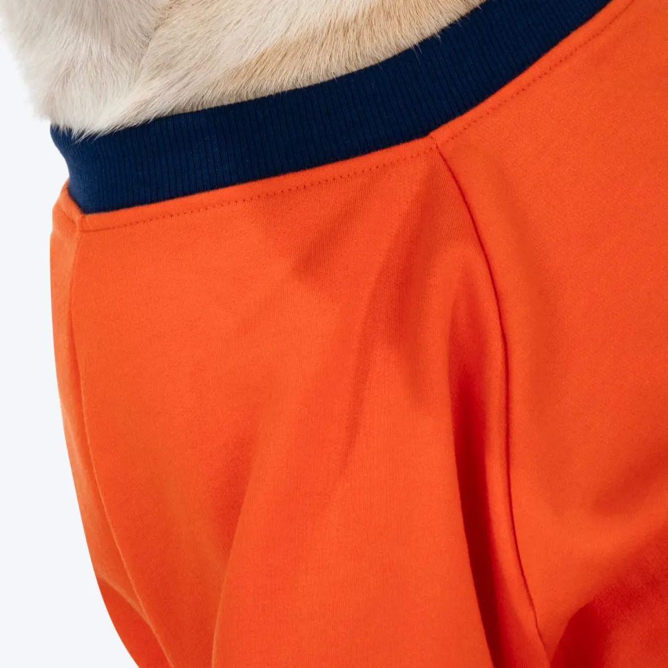 HUFT Good Doggo Pet Sweatshirt - Orange