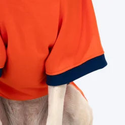 HUFT Good Doggo Pet Sweatshirt - Orange