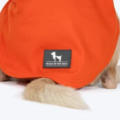HUFT Good Doggo Pet Sweatshirt - Orange
