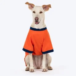 HUFT Good Doggo Pet Sweatshirt - Orange
