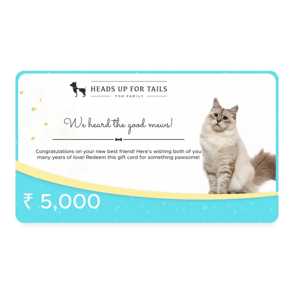 HUFT Good Mews New Gift Card