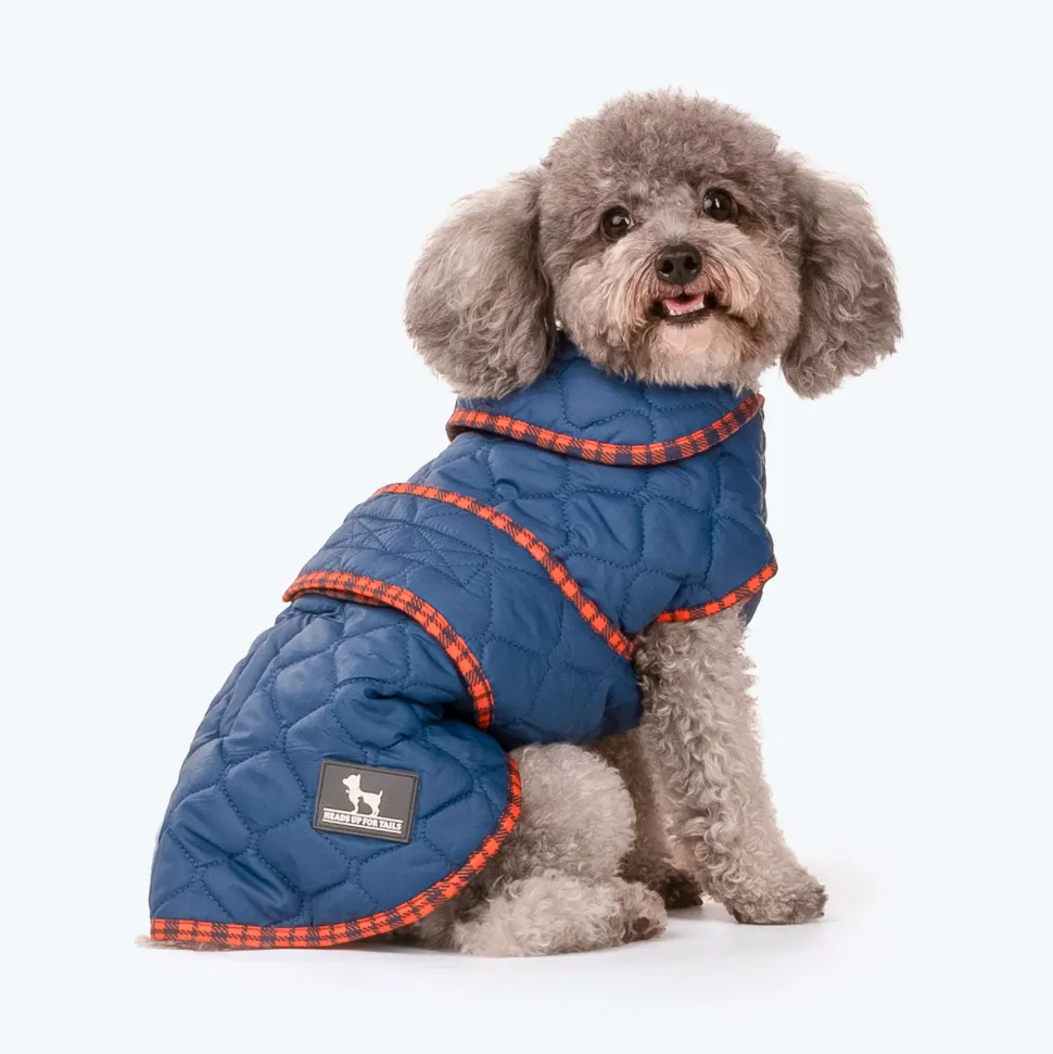 HUFT Grrberry Quilted Dog Jacket - Teal Blue