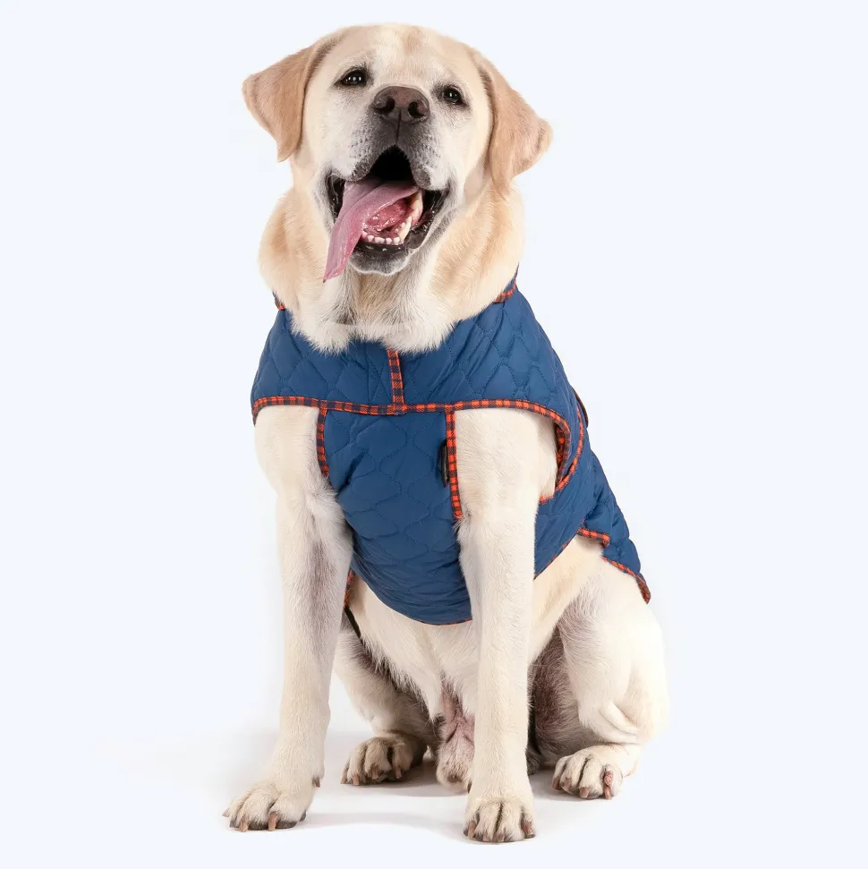 HUFT Grrberry Quilted Dog Jacket - Teal Blue