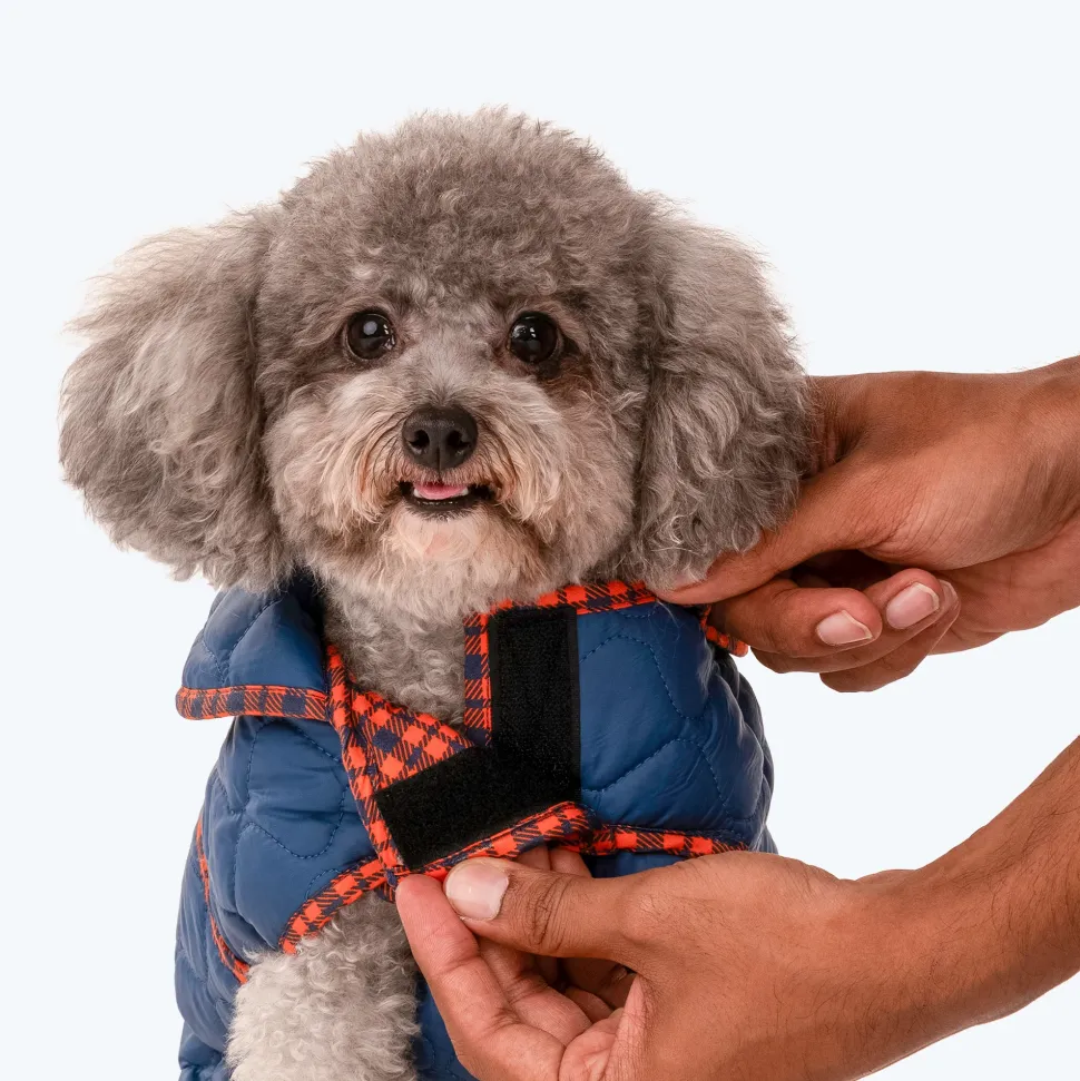 HUFT Grrberry Quilted Dog Jacket - Teal Blue