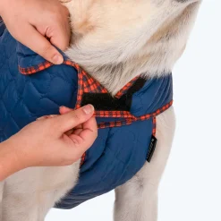 HUFT Grrberry Quilted Dog Jacket - Teal Blue
